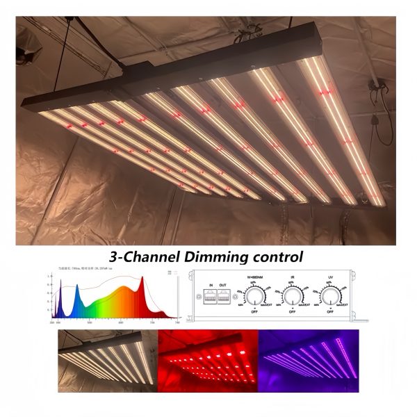 1000w LED Grow Lights Can Help Increase Quality And Yields While Saving You Over 50% On Your Energy Bill